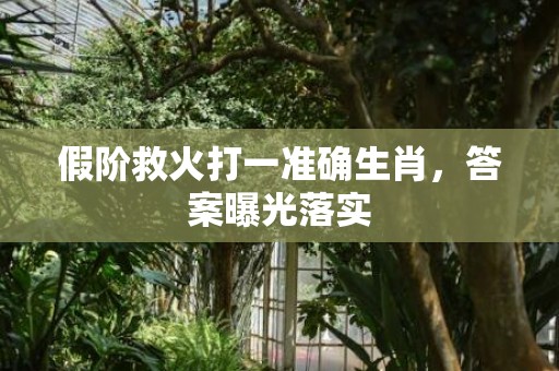 假阶救火打一准确生肖，答案曝光落实插图