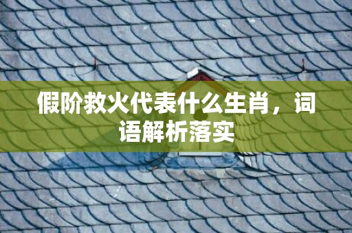 假阶救火代表什么生肖，词语解析落实