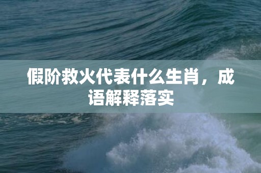 假阶救火代表什么生肖，成语解释落实插图