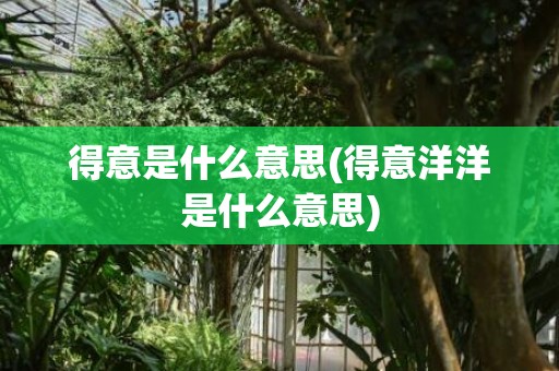 得意是什么意思(得意洋洋是什么意思)