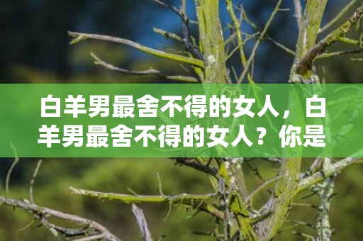 白羊男最舍不得的女人，白羊男最舍不得的女人？你是谁？