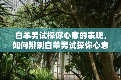 白羊男试探你心意的表现，如何辨别白羊男试探你心意的迹象？