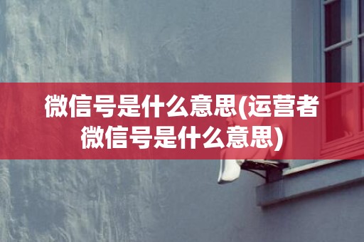 微信号是什么意思(运营者微信号是什么意思)