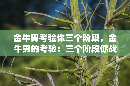 金牛男考验你三个阶段，金牛男的考验：三个阶段你战胜了吗？