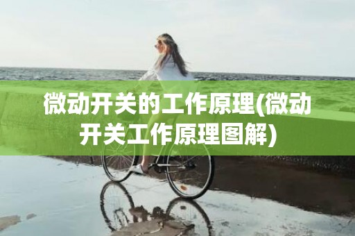 微动开关的工作原理(微动开关工作原理图解)