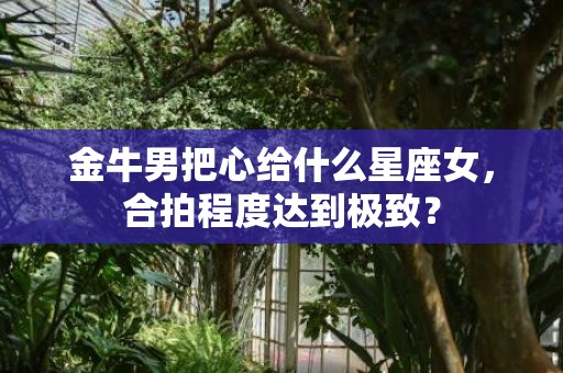 金牛男把心给什么星座女，合拍程度达到极致？