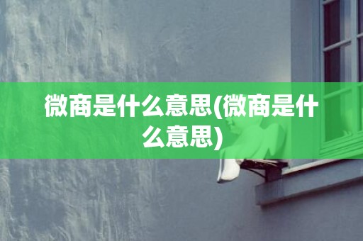 微商是什么意思(微商是什么意思)