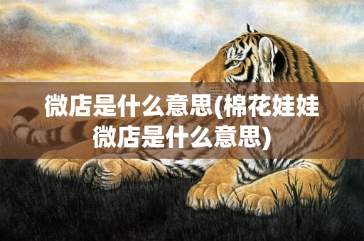 微店是什么意思(棉花娃娃微店是什么意思)
