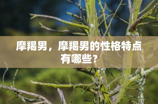 摩羯男，摩羯男的性格特点有哪些？