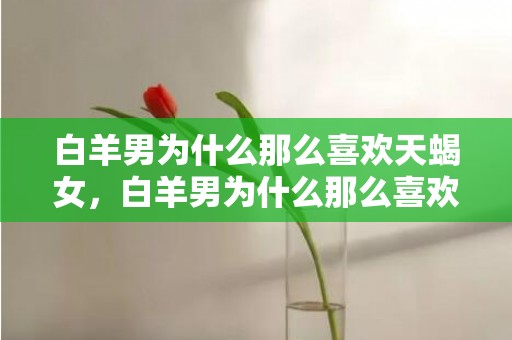 白羊男为什么那么喜欢天蝎女，白羊男为什么那么喜欢天蝎女？