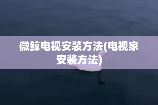 微鲸电视安装方法(电视家安装方法)