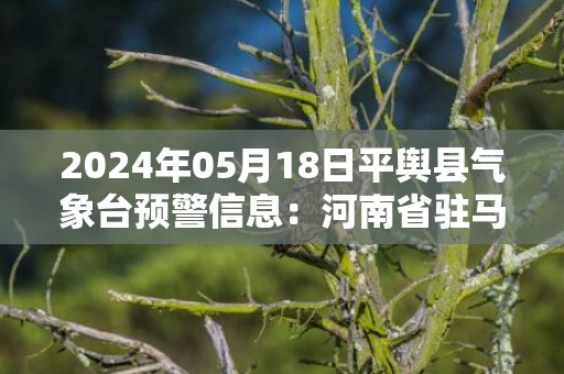 2024年05月18日平舆县气象台预警信息：河南省驻马店市平舆县发布高温橙色预警