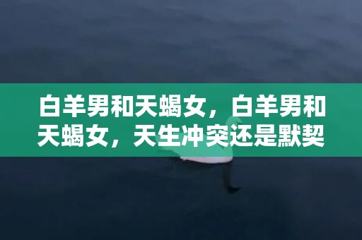 白羊男和天蝎女，白羊男和天蝎女，天生冲突还是默契无疑?