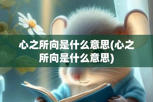 心之所向是什么意思(心之所向是什么意思)