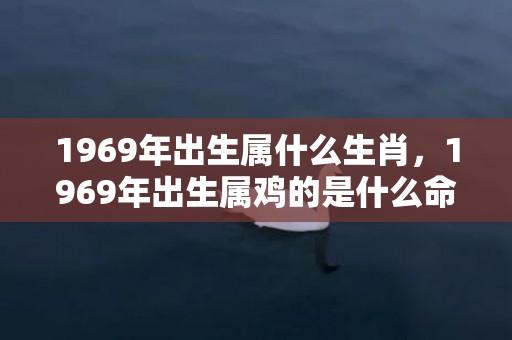 1969年出生属什么生肖，1969年出生属鸡的是什么命