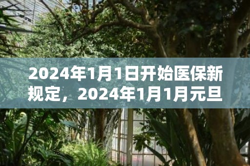 2024年1月1日开始医保新规定，2024年1月1月元旦上坟祭祖好不好