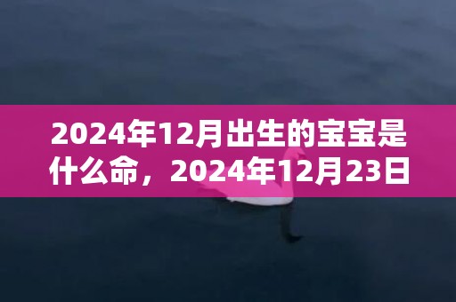 2024年12月出生的宝宝是什么命，2024年12月23日出生女孩高雅好听的名字