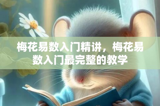 梅花易数入门精讲，梅花易数入门最完整的教学