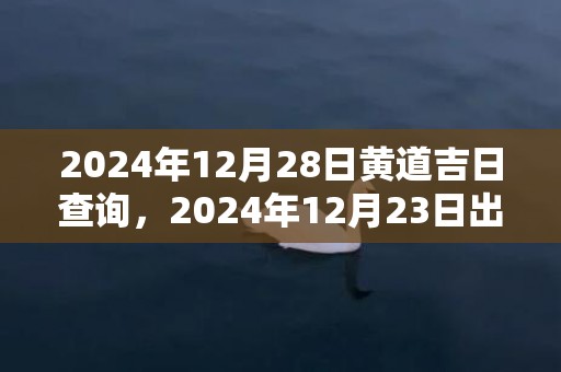 2024年12月28日黄道吉日查询，2024年12月23日出生的宝宝好不好