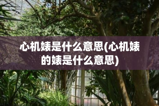 心机婊是什么意思(心机婊的婊是什么意思)