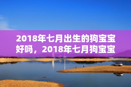 2018年七月出生的狗宝宝好吗，2018年七月狗宝宝取名应该用什么部首？农历七月出生的性格特点。