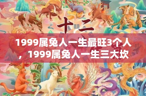 1999属兔人一生最旺3个人，1999属兔人一生三大坎分别是什么