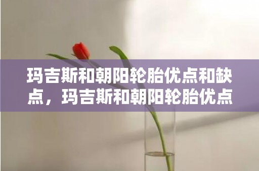 玛吉斯和朝阳轮胎优点和缺点，玛吉斯和朝阳轮胎优点和缺点