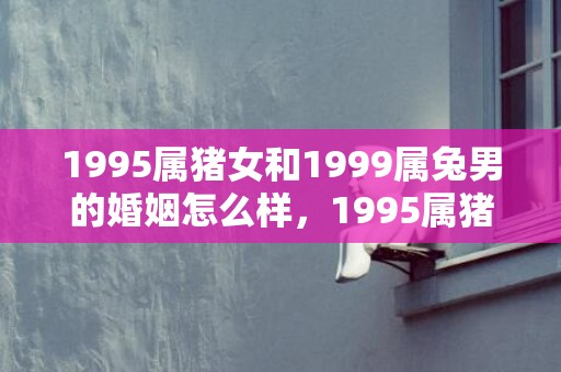 1995属猪女和1999属兔男的婚姻怎么样，1995属猪女和1995属猪男姻缘