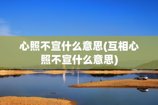 心照不宣什么意思(互相心照不宣什么意思)