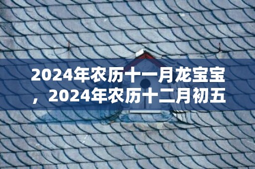 2024年农历十一月龙宝宝，2024年农历十二月初五可不可以结婚