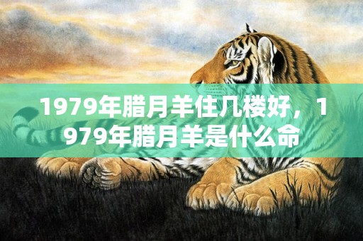 1979年腊月羊住几楼好，1979年腊月羊是什么命