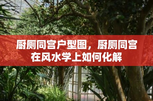 厨厕同宫户型图，厨厕同宫在风水学上如何化解