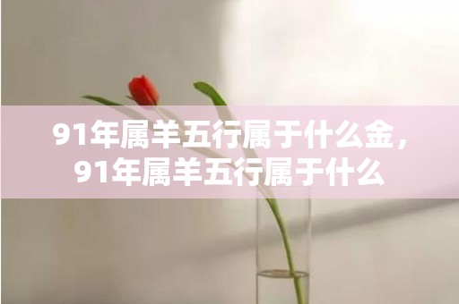 91年属羊五行属于什么金，91年属羊五行属于什么