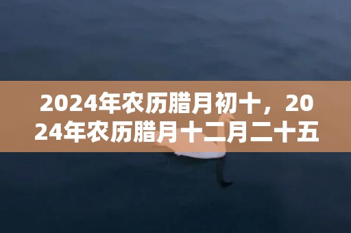 2024年农历腊月初十，2024年农历腊月十二月二十五出生的女孩出生好吗