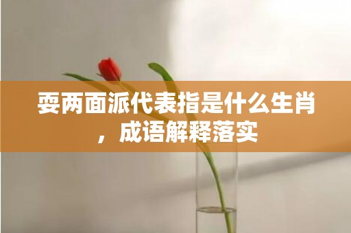 耍两面派代表指是什么生肖，成语解释落实