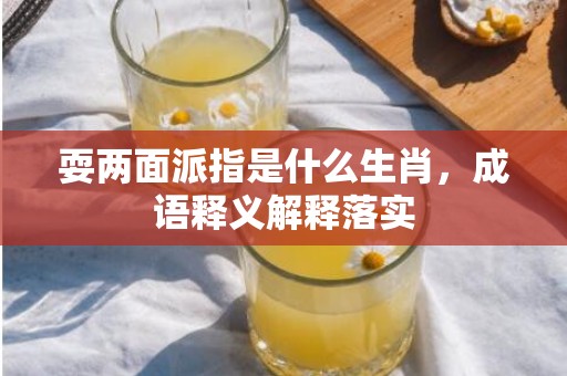 耍两面派指是什么生肖，成语释义解释落实