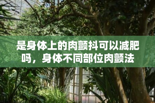 是身体上的肉颤抖可以减肥吗，身体不同部位肉颤法
