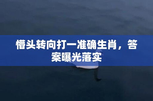 懵头转向打一准确生肖，答案曝光落实插图