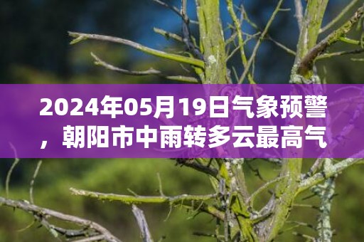 2024年05月19日气象预警，朝阳市中雨转多云最高气温17℃