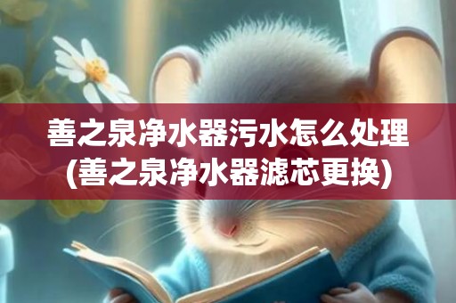善之泉净水器污水怎么处理(善之泉净水器滤芯更换)
