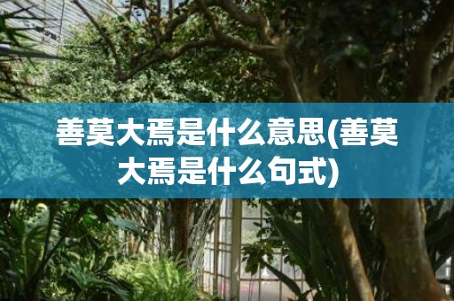 善莫大焉是什么意思(善莫大焉是什么句式)