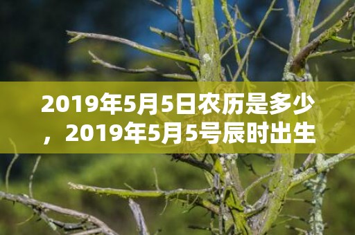 2019年5月5日农历是多少，2019年5月5号辰时出生的男孩起名方法