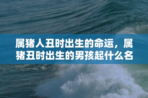 属猪人丑时出生的命运，属猪丑时出生的男孩起什么名字好，不能用什么字