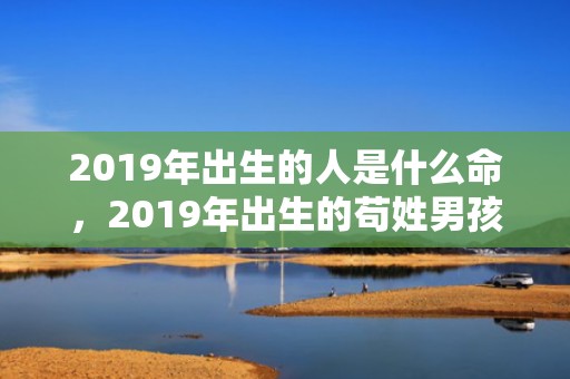 2019年出生的人是什么命，2019年出生的苟姓男孩如何起名字，姓苟男孩好听的名字