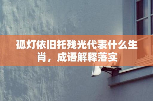 孤灯依旧托残光代表什么生肖，成语解释落实