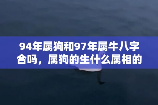 94年属狗和97年属牛八字合吗，属狗的生什么属相的宝宝好，狗和什么生肖相克