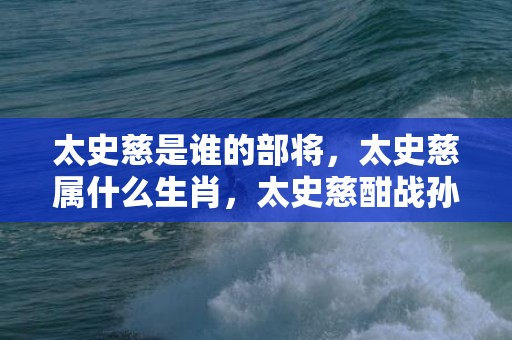 太史慈是谁的部将，太史慈属什么生肖，太史慈酣战孙策