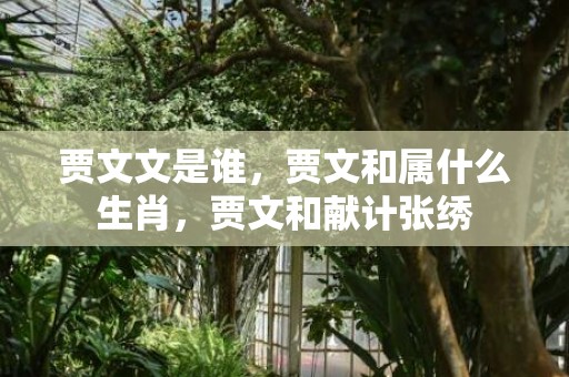 贾文文是谁，贾文和属什么生肖，贾文和献计张绣