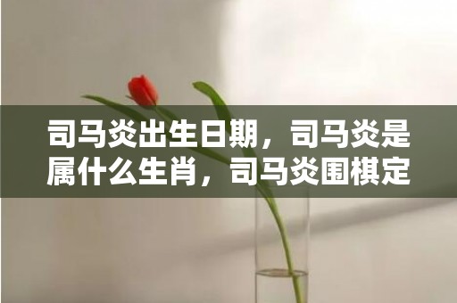 司马炎出生日期，司马炎是属什么生肖，司马炎围棋定策