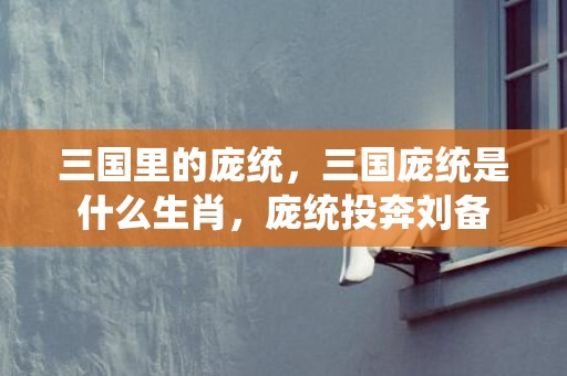三国里的庞统，三国庞统是什么生肖，庞统投奔刘备